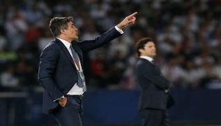 زوران ماميتش 