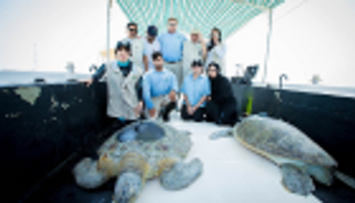 تنفيذ 10 مبادرات بيئية خلال 2018 في أبوظبي احتفالا بـ"عام زايد"