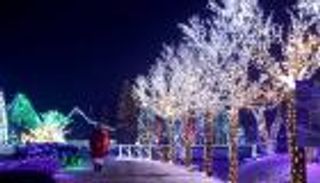 بالصور.. 4 ملايين مصباح تحول مزرعة في كرواتيا إلى متنزه خيالي