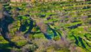 أعمال تجريف إسرائيلية في قرية جنوبي القدس مدرجة بقائمة التراث العالمي