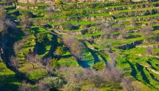 أعمال التجريف الإسرائيلية