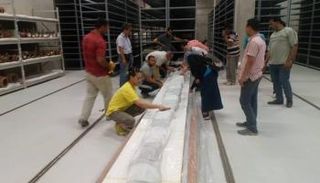 أبرز القطع الأثرية المنقولة إلى المتحف المصري الكبير خلال عام 2018