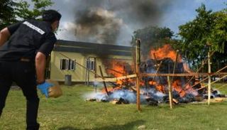 الشرطة الإندونيسية تحرق 800 كيلوجرام من الماريجوانا