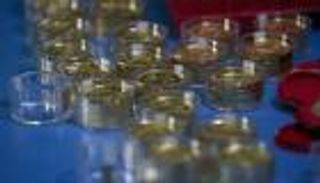 الذهب يلامس أعلى مستوى في 6 أشهر