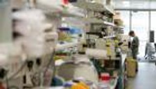 جهود بحثية لتطوير إنسان خارق من أطفال معدلين جينيا