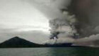 فرق الإنقاذ في إندونيسيا تعيد سلحفاة "ضحية تسونامي" إلى البحر