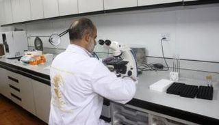 مركز الملك سلمان للإغاثة يواصل تقديم خدماته للاجئين السوريين في الأردن