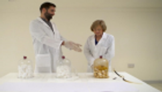 دراسة بريطانية تقارن بين تأثير السجائر العادية والإلكترونية على الصحة