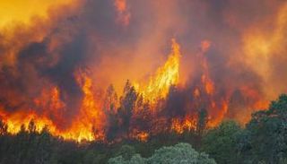 حرائق غابات كاليفورنيا ـ أرشيفية.