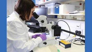 علاج جديد يشفي من السرطان - أرشيفية