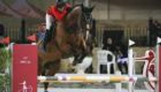 فارسات الأردن ومصر يحصدن ذهبيات قفز الحواجز بالدورة العربية للسيدات