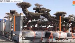 أشجار سقطرى.. عُمان تفضح أكاذيب قطر