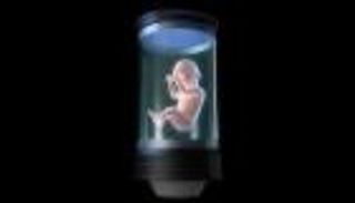 إنتاج بويضات بشرية مكتملة النمو في المختبر لأول مرة