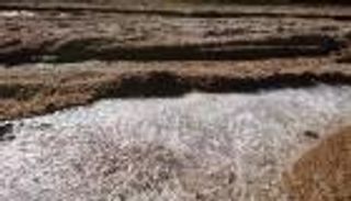 بالصور.. تجمّد الوديان في أقصى الجنوب الجزائري لأول مرة