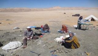 الباحثات في موقع استخراج الديناصور بالواحات