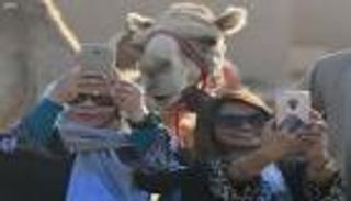 بالصور.. الحضور العائلي يزيِّن فعاليات مهرجان "الجنادرية 32"