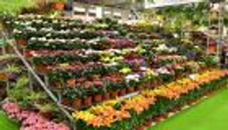 الإمارات تشارك في معرض البحرين الدولي للحدائق 2018