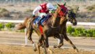 103 أجياد تتنافس على لقب سباق كأس حاكم الشارقة