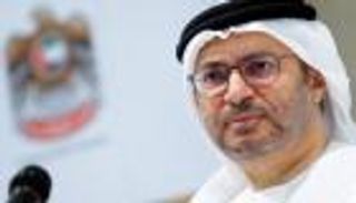 قرقاش يرحب بقرار مجلس الأمن وقف إطلاق النار في سوريا