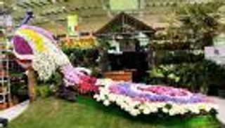 الإمارات تقطف جائزة أفضل جناح بمعرض البحرين الدولي للحدائق