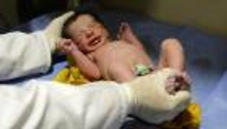 مصر.. انخفاض معدل المواليد 4 ملايين خلال 3 أعوام