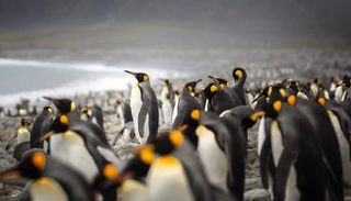 التغير المناخي يهدد القطب الجنوبي