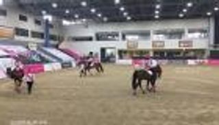 انطلاق مسيرة فرسان القافلة الوردية الـ8 بالإمارات