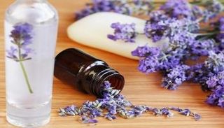اللافندر له الكثير من الفوائد للشعر والبشرة والصحة