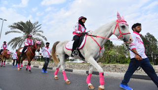 مسيرة فرسان القافلة الوردية الثامنة