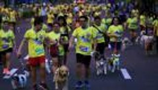 بالصور.. سباق الكلاب لمكافحة القسوة ضد الحيوانات في الفلبين