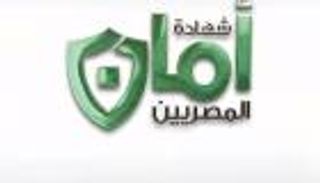 كل ما تريد معرفته عن شهادة "أمان المصريين" التي أقرها السيسي