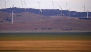 مزرعة رياح - رويترز