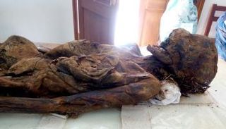 7 مومياوات نواة المشروع الأولى