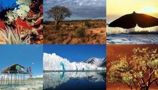 التنمية المستدامة تستهدف الحفاظ على البيئة