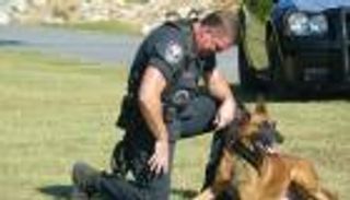 الكلاب.. أحدث وسائل اكتشاف الآثار المسروقة من سوريا والعراق