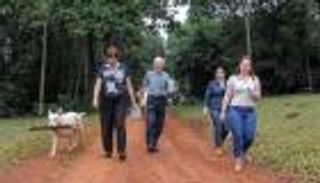 "شينرين يوكو".. تخلص من التوتر على الطريقة اليابانية