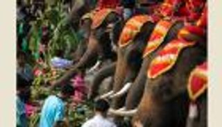 بالصور.. تايلاند تحتفل باليوم الوطني للفيل