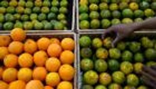 5 أطعمة تخلصك من الإجهاد وتجدد نشاطك