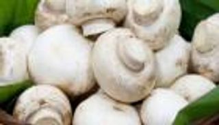 فوائد المشروم.. غني بالألياف وكنز للمرأة الحامل