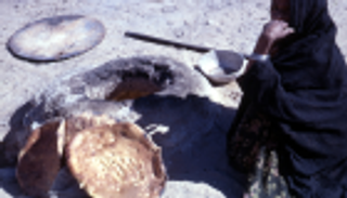 جناح "أم الإمارات": رحلة عبر الزمن للقيم الملهمة للشيخة فاطمة بنت مبارك