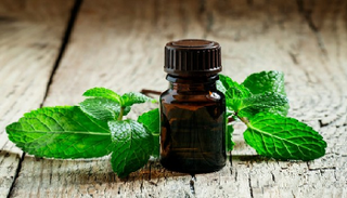 كيفية استخدام زيت النعناع