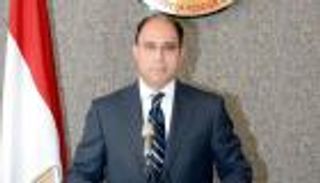 الخارجية المصرية: المشاركة في الانتخابات بالخارج مشهد يدعو للفخر