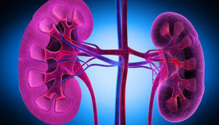 مرض الكلى يزيد من خطر الإصابة بالسكري 