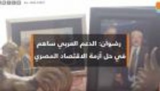 وزير مالية مصر الأسبق: الدعم العربي ساهم في حل أزمة الاقتصاد