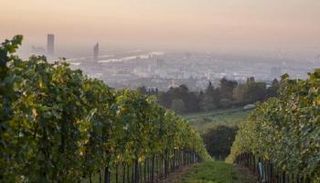 فيينا تعتبر أفضل مكان في العالم