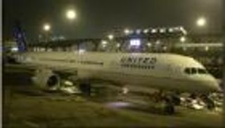 شركة طيران أمريكية تعيد النظر في نقل الحيوانات بعد نفوق كلب