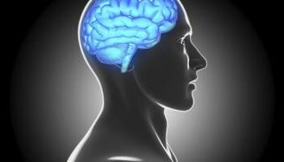 يعد الدماغ المنظم الأساسي لأنشطة الجسم