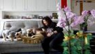 رحلة جوية فاخرة لكلبين مدللين ومالكتهما