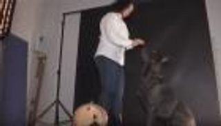 افتتاح استديو تصوير للحيوانات الأليفة في أوكرانيا