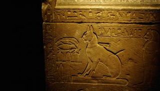 الآثار الفرعونية خلدت الكلاب والقطط